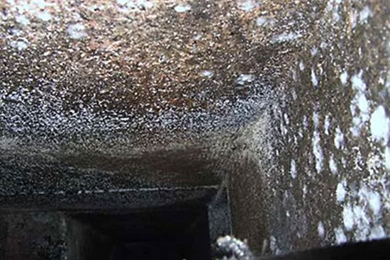 Mold and Moisture Control